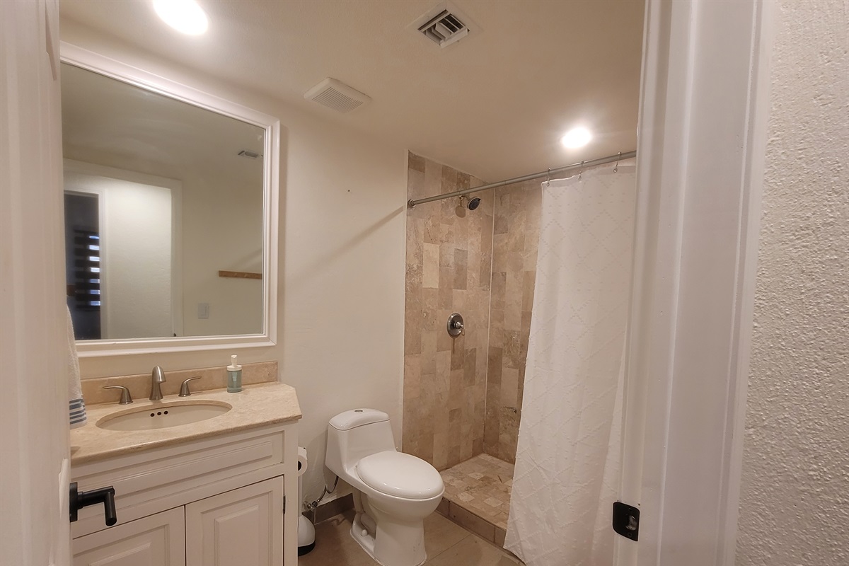 Hall/guest bathroom with stand up shower, sink, and toilet