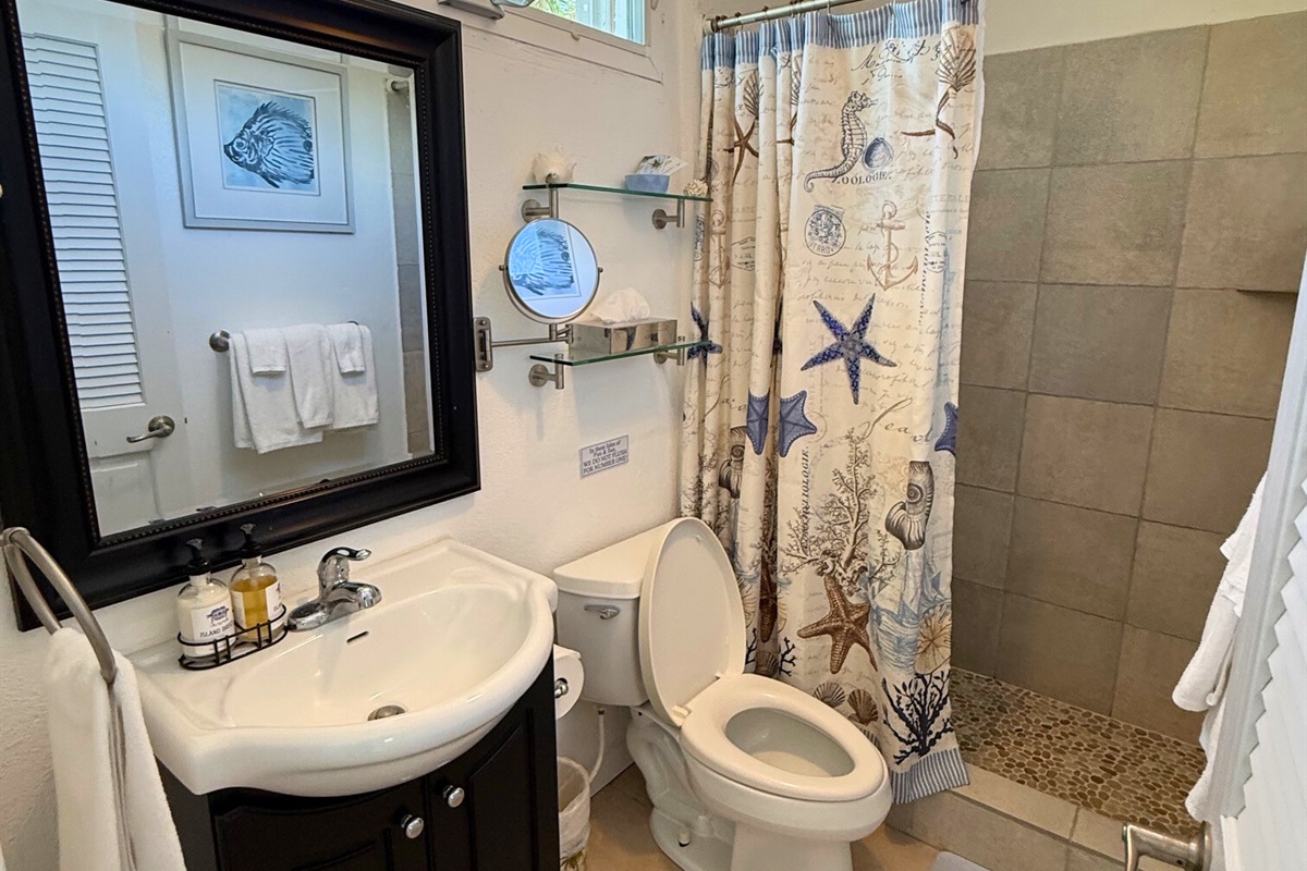 Ensuite bathroom with walk in shower in the Mountain View Room