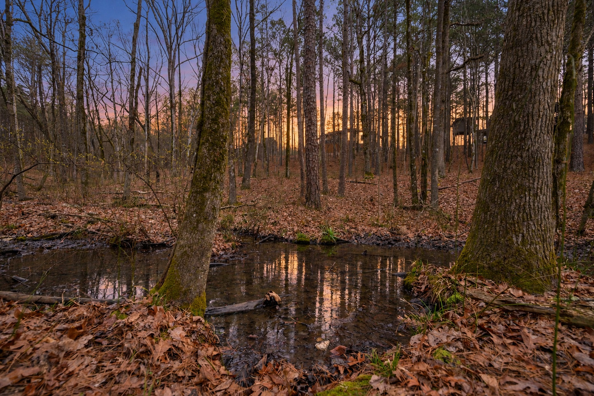 Pause beside the still water and soak in the quiet of the woods.