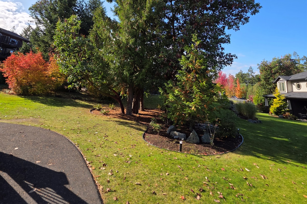 The grounds outside front door of #413.