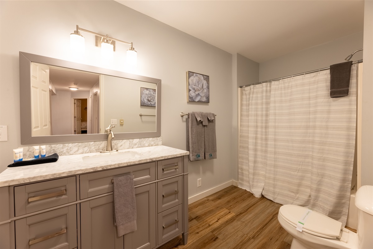 1st Floor Hall Bathroom