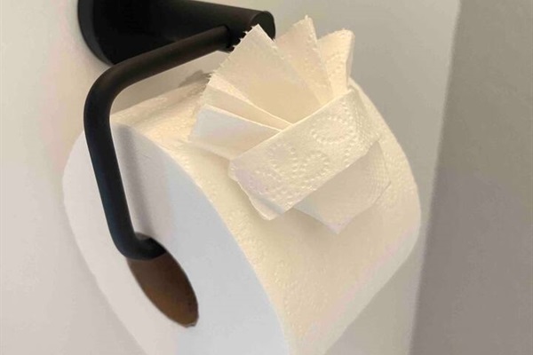 We even supply the toilet paper  