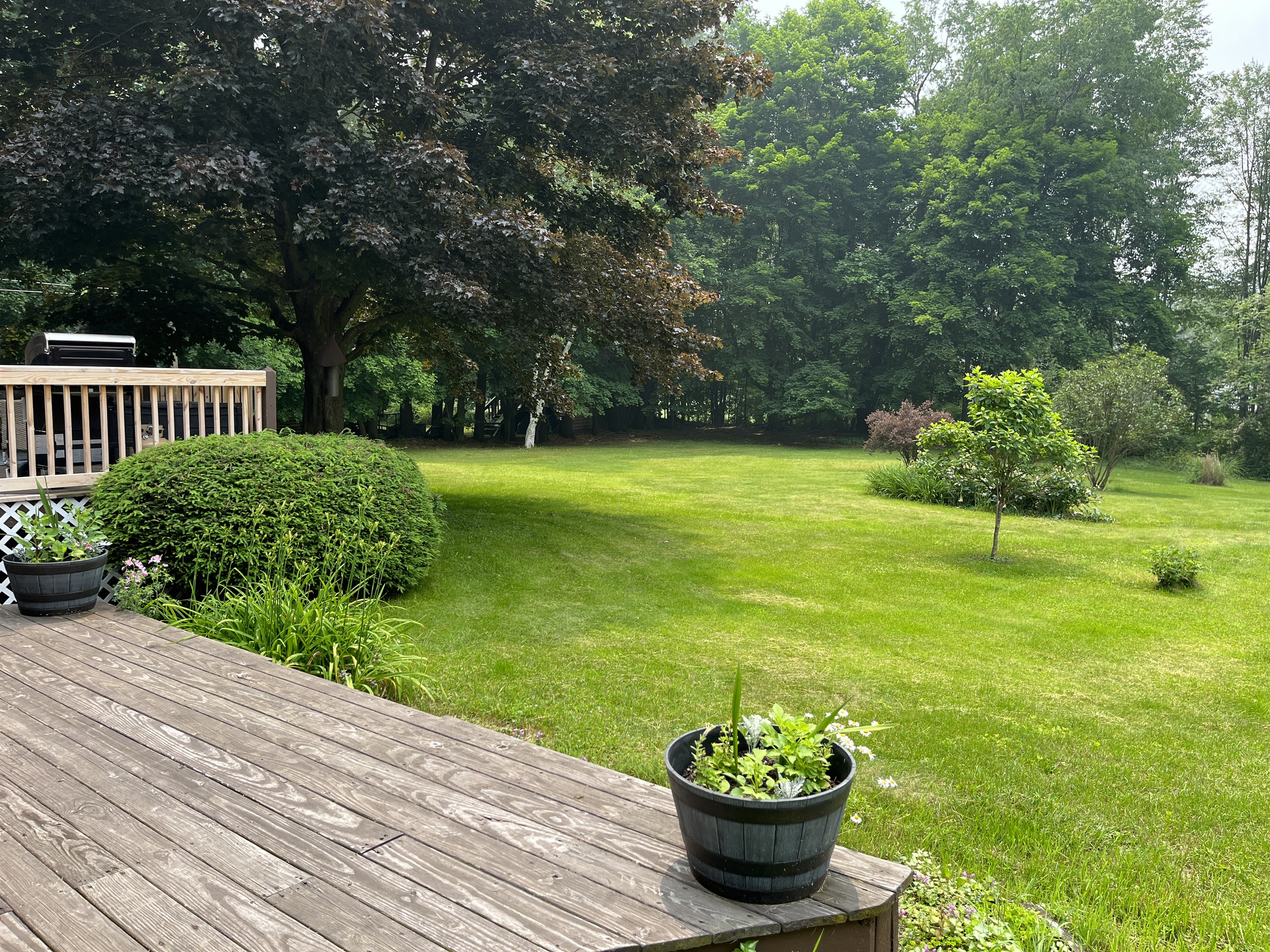 Back deck and yard beyond
