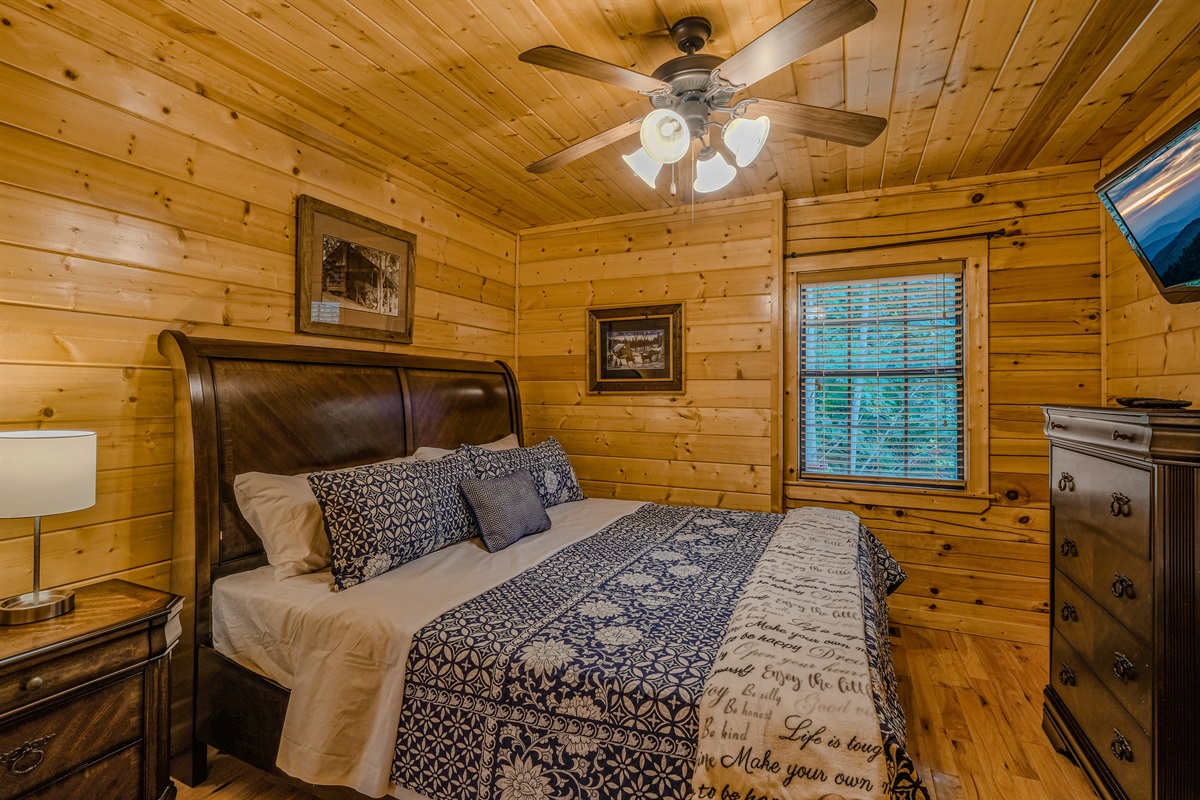 3rd bedroom on lower level with king bed and TV