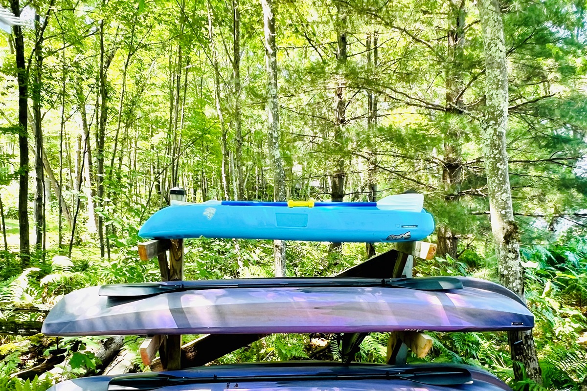We have 2 adult size kayaks and 1 kiddie kayak!  Paddles too!