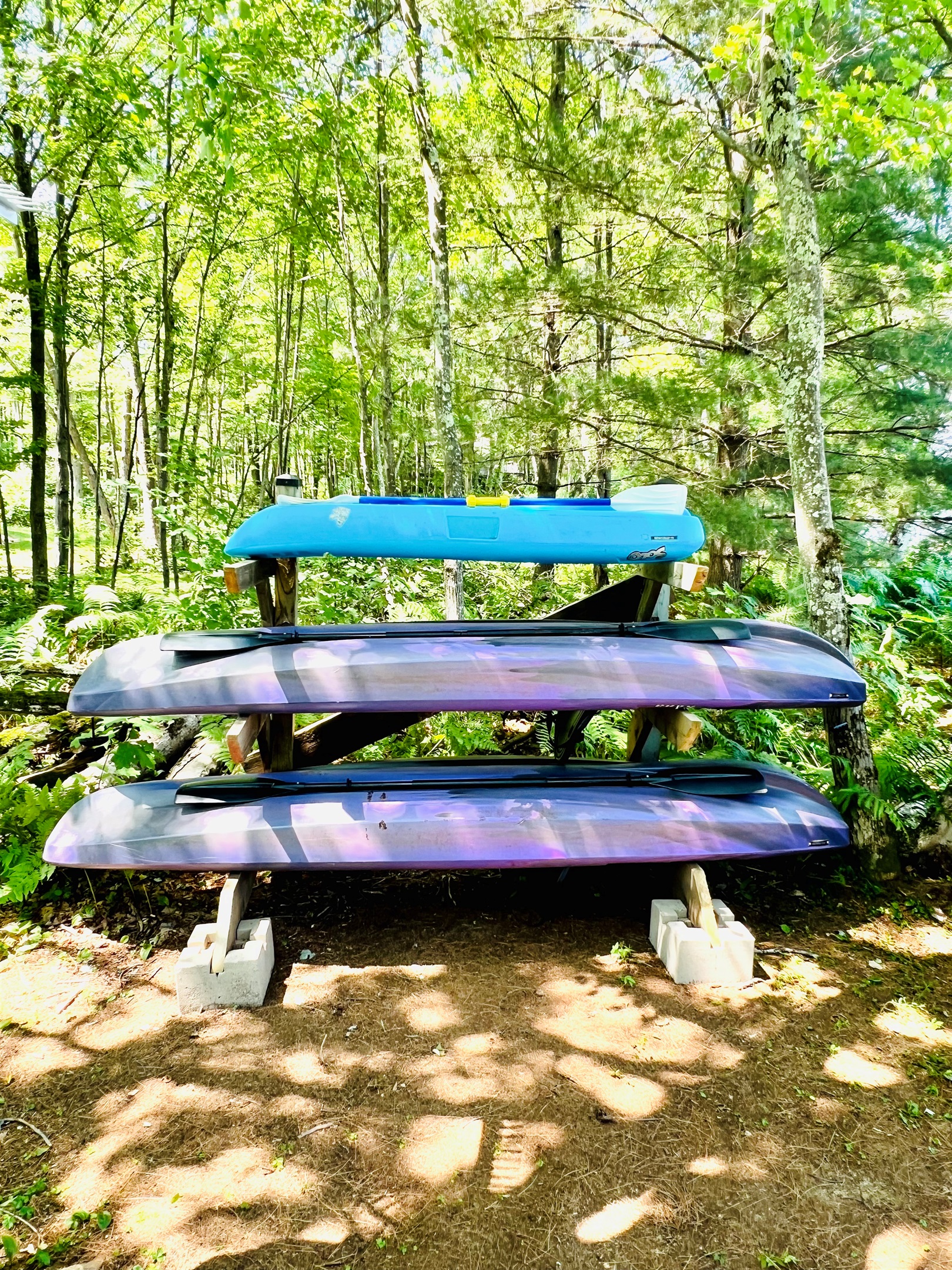 We have 2 adult size kayaks and 1 kiddie kayak!  Paddles too!