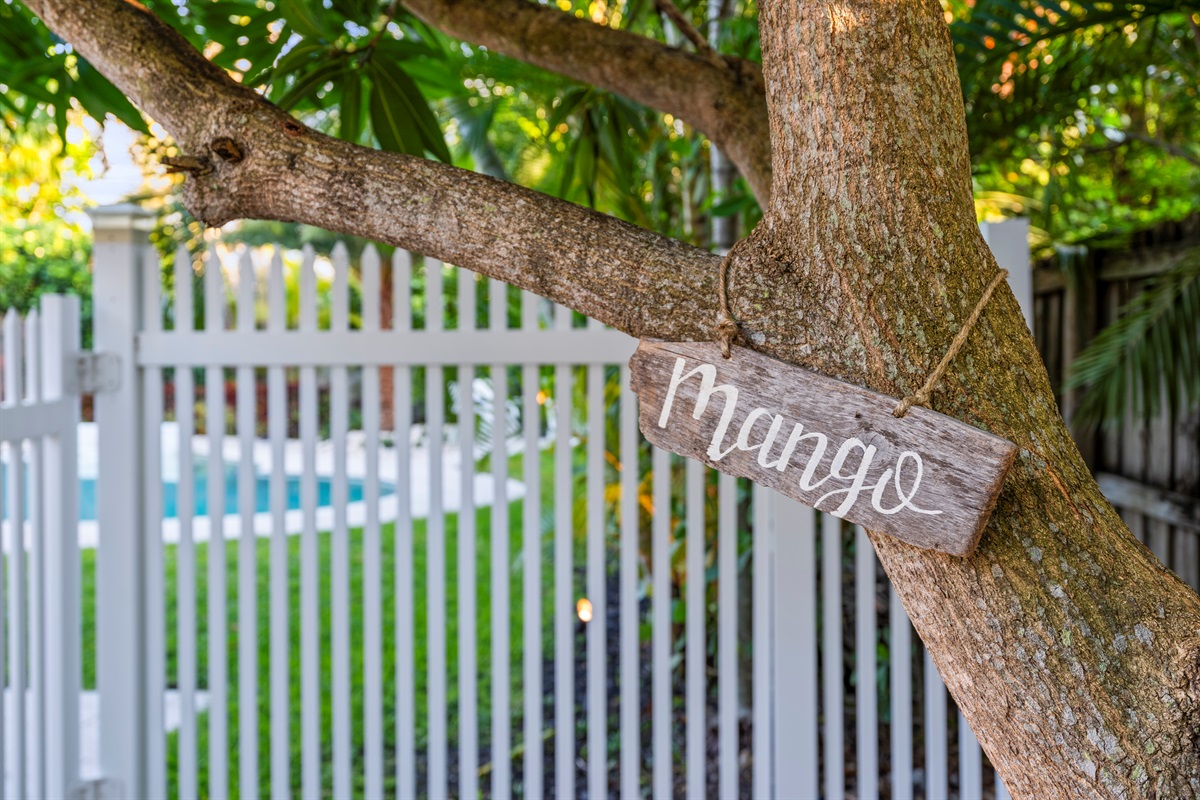 The property is bordered by lush, mature tropical trees and vibrant foliage, offering a peaceful and private outdoor backdrop.