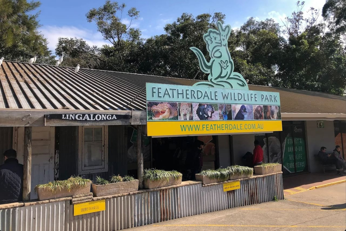 A moments drive to featherdale Wildlife park, koala, kangaroo, Australian wildlife, blacktown Central, 5 Minutes drive