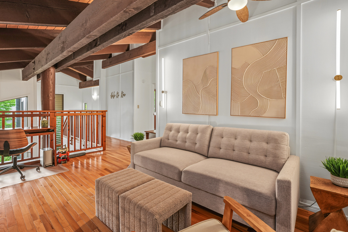 Work station, second living room or pull out couch