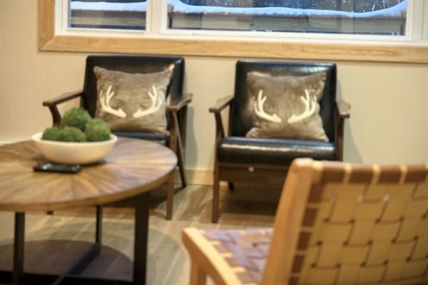 Views of the mountain from the living room