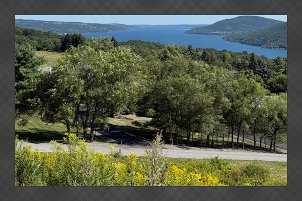 View from a local spot overlooking Canandaigua Lkae