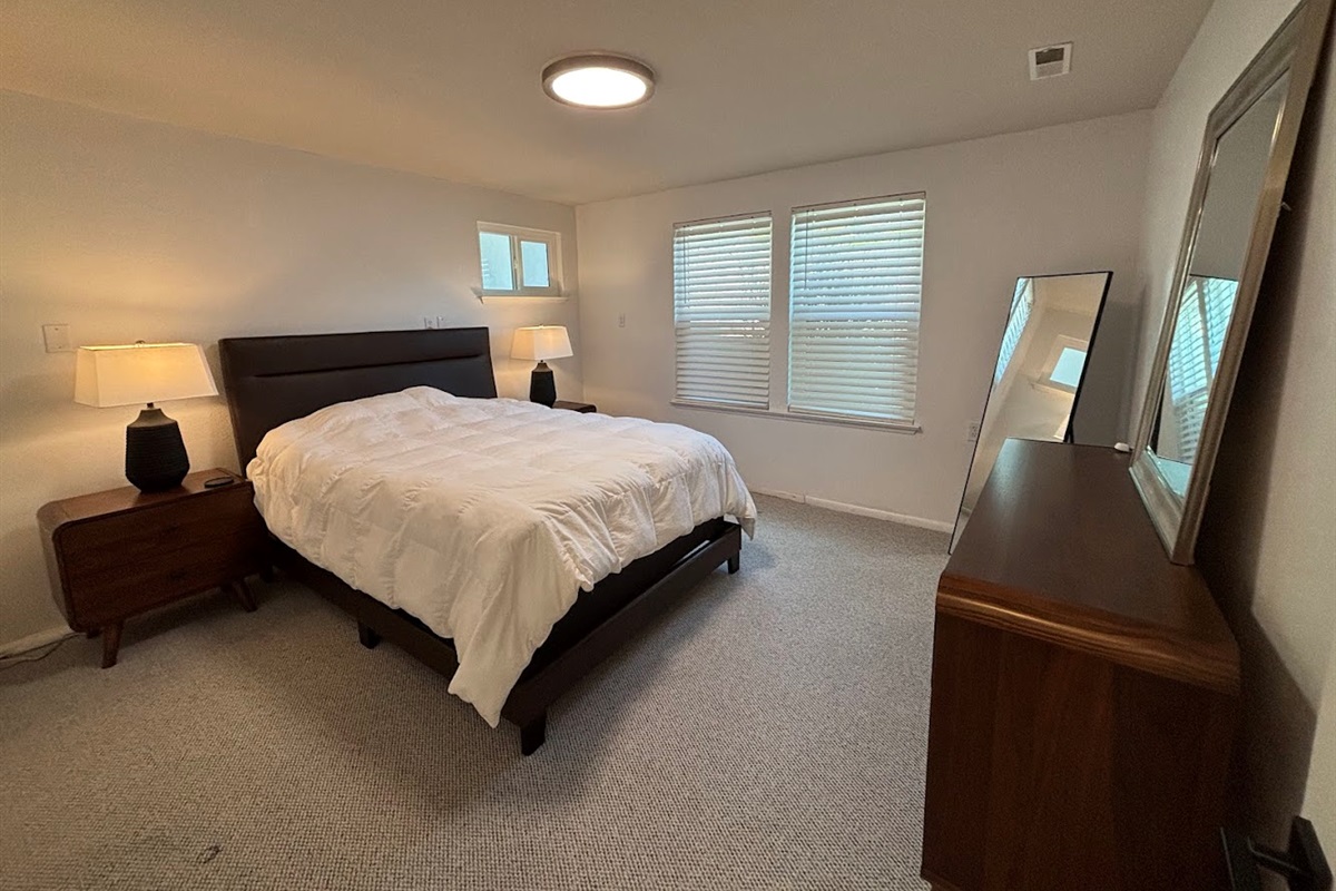 Lower level guest bedroom
