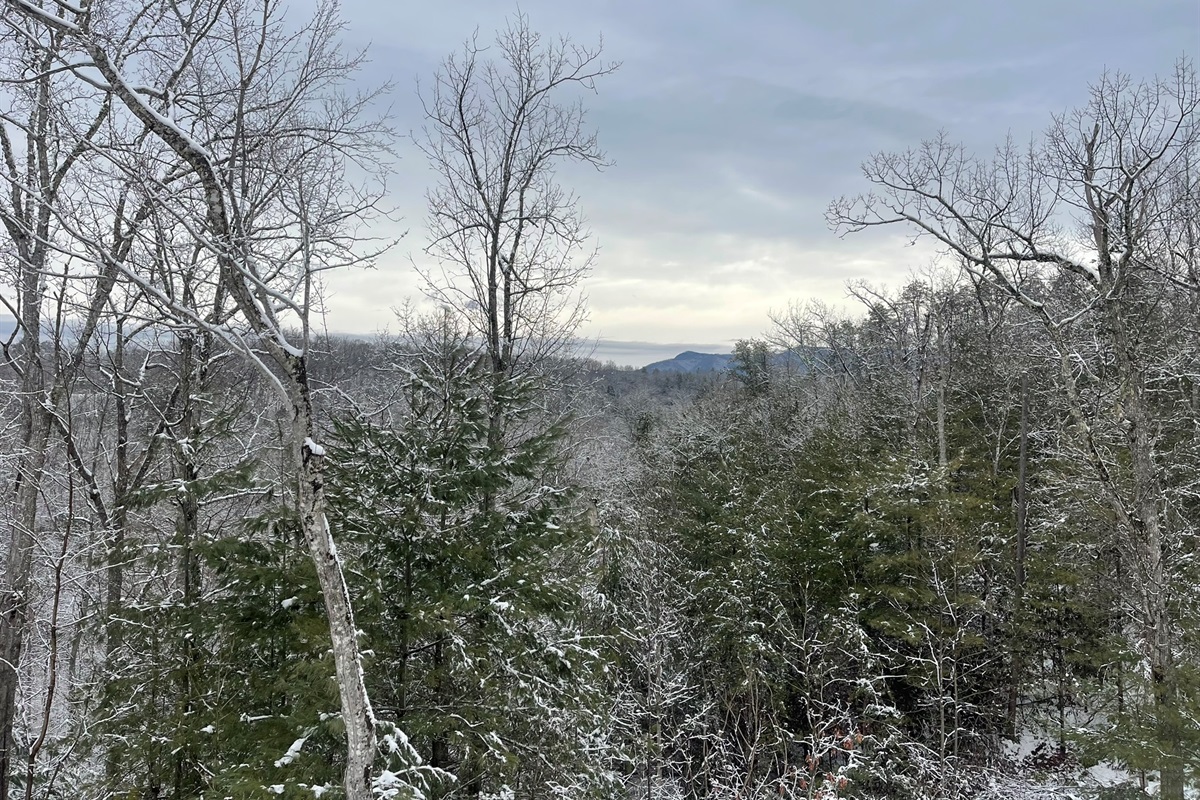 There is something magical about snow capped trees and mountains!