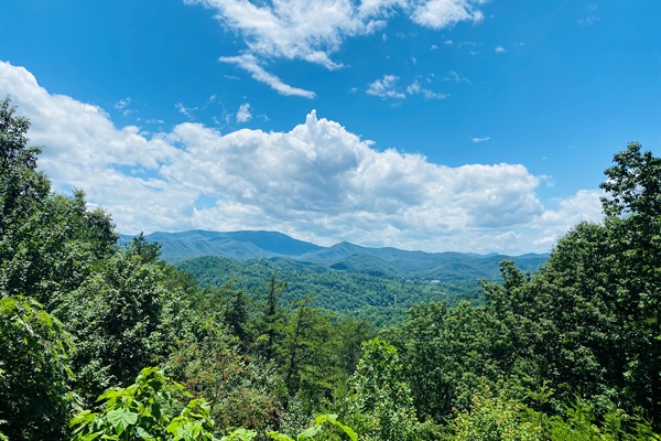 Summer Skies from the Back Deck