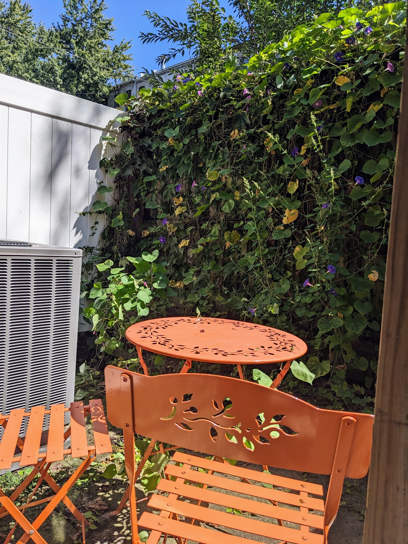 Small outdoor patio area