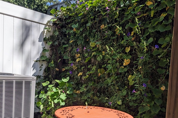 Small outdoor patio area