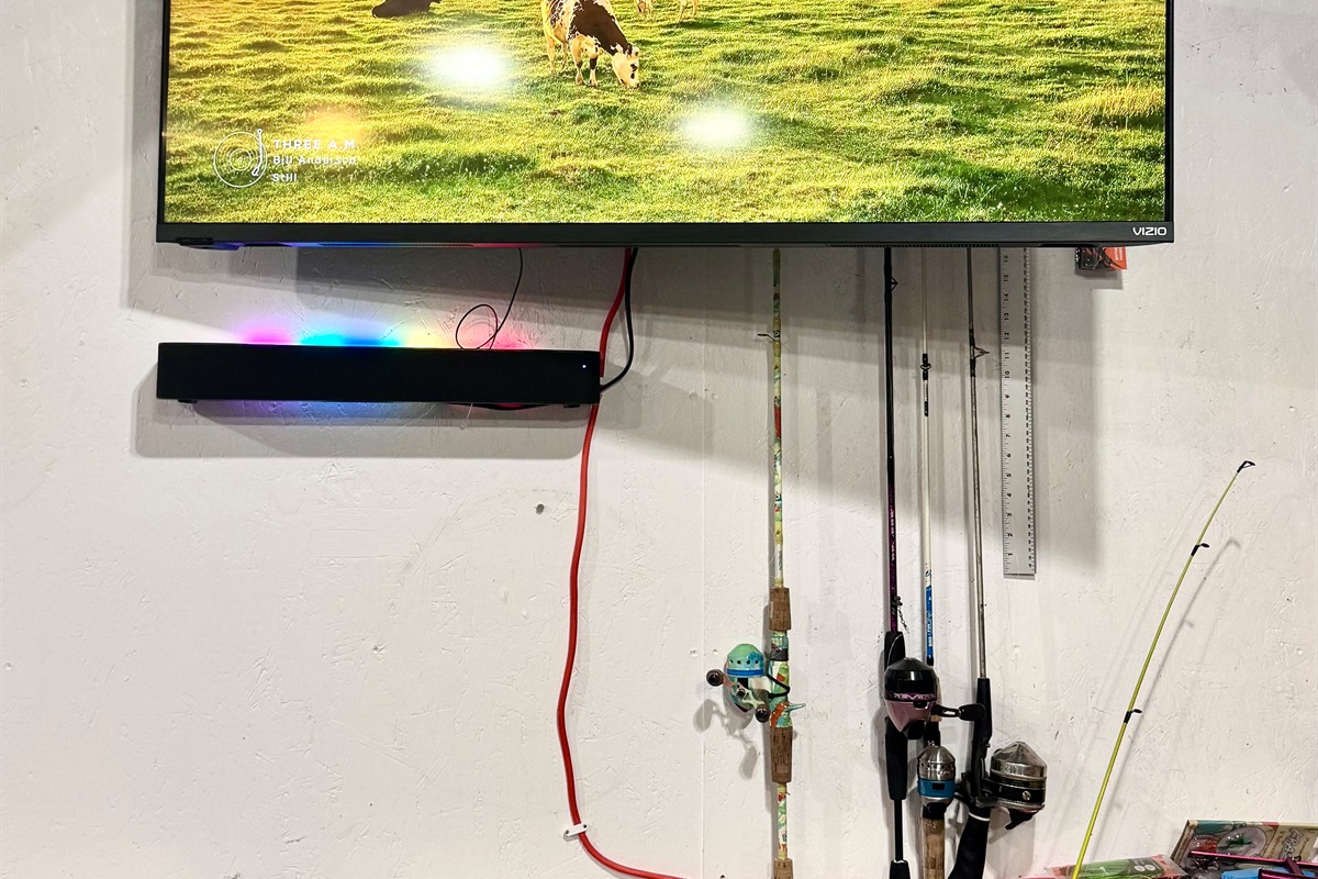 SmartTv, bluetooth speaker, and fishing poles also in the garage
