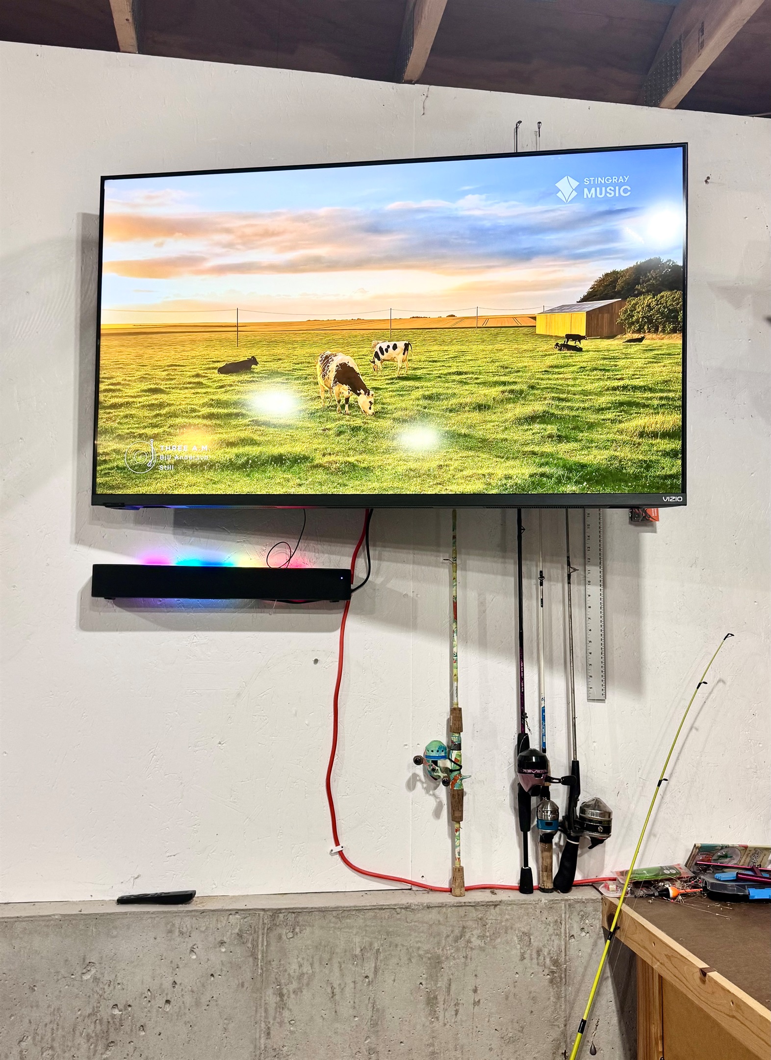 SmartTv, bluetooth speaker, and fishing poles also in the garage
