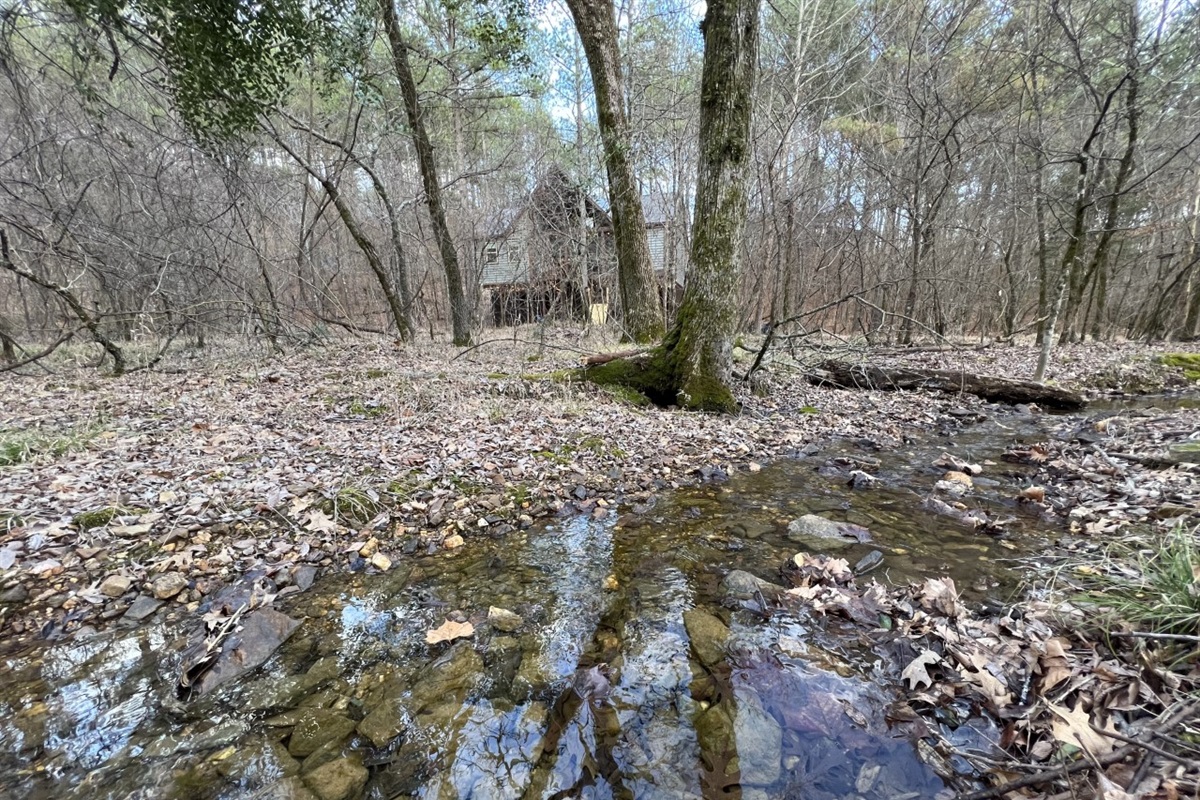 Peaceful Creek
