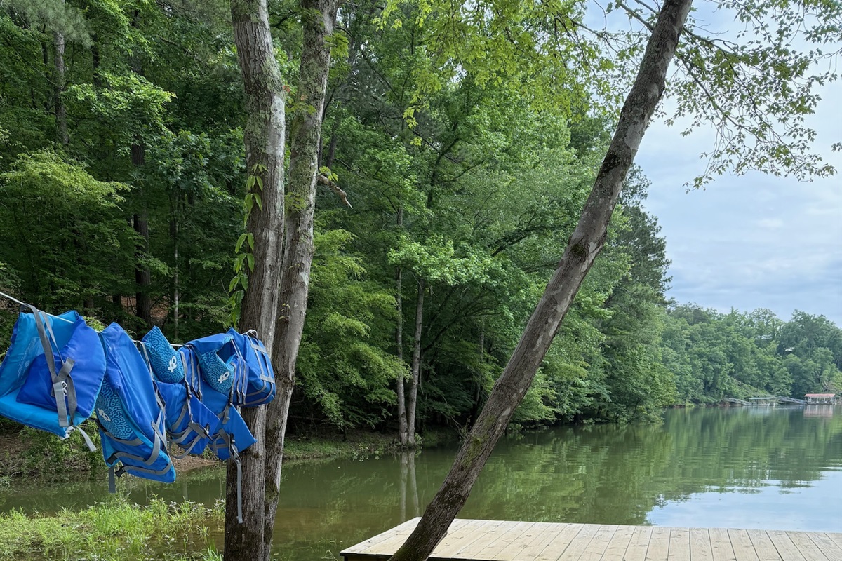 Ollie would love to meet your dog