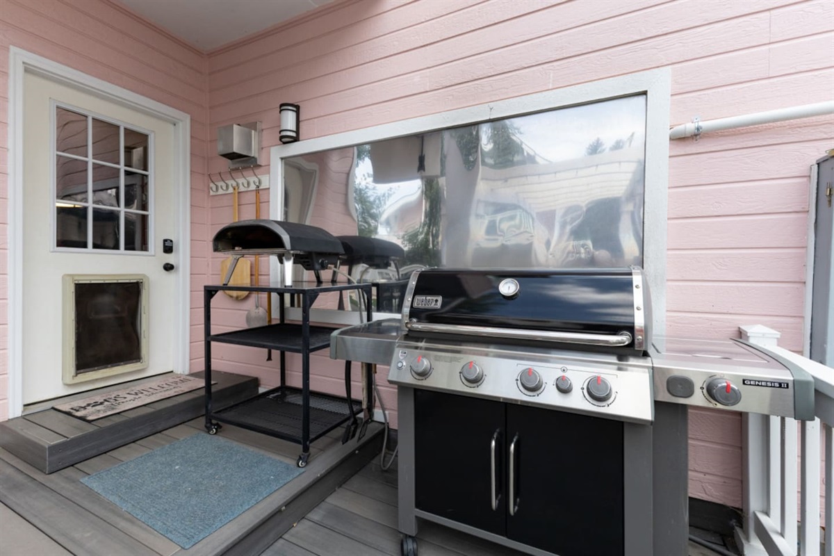 Gas Grill 