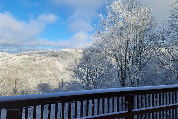 Sunny, winter morning