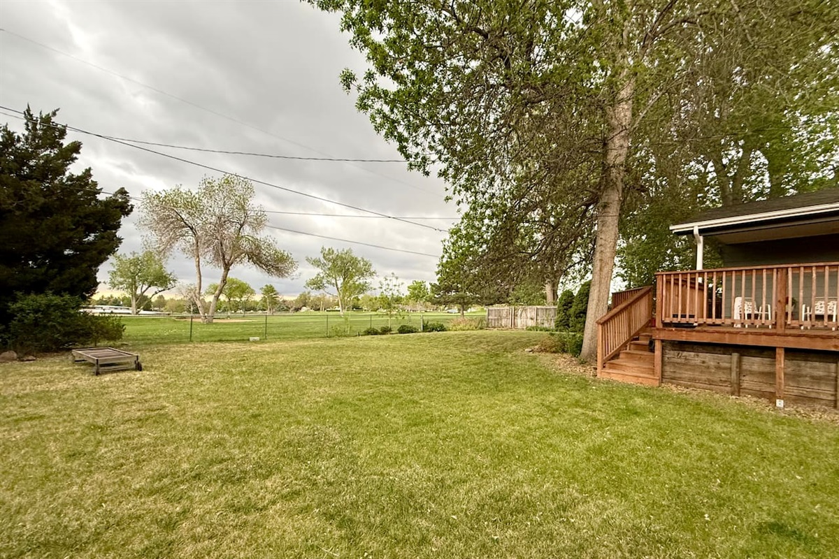Backyard