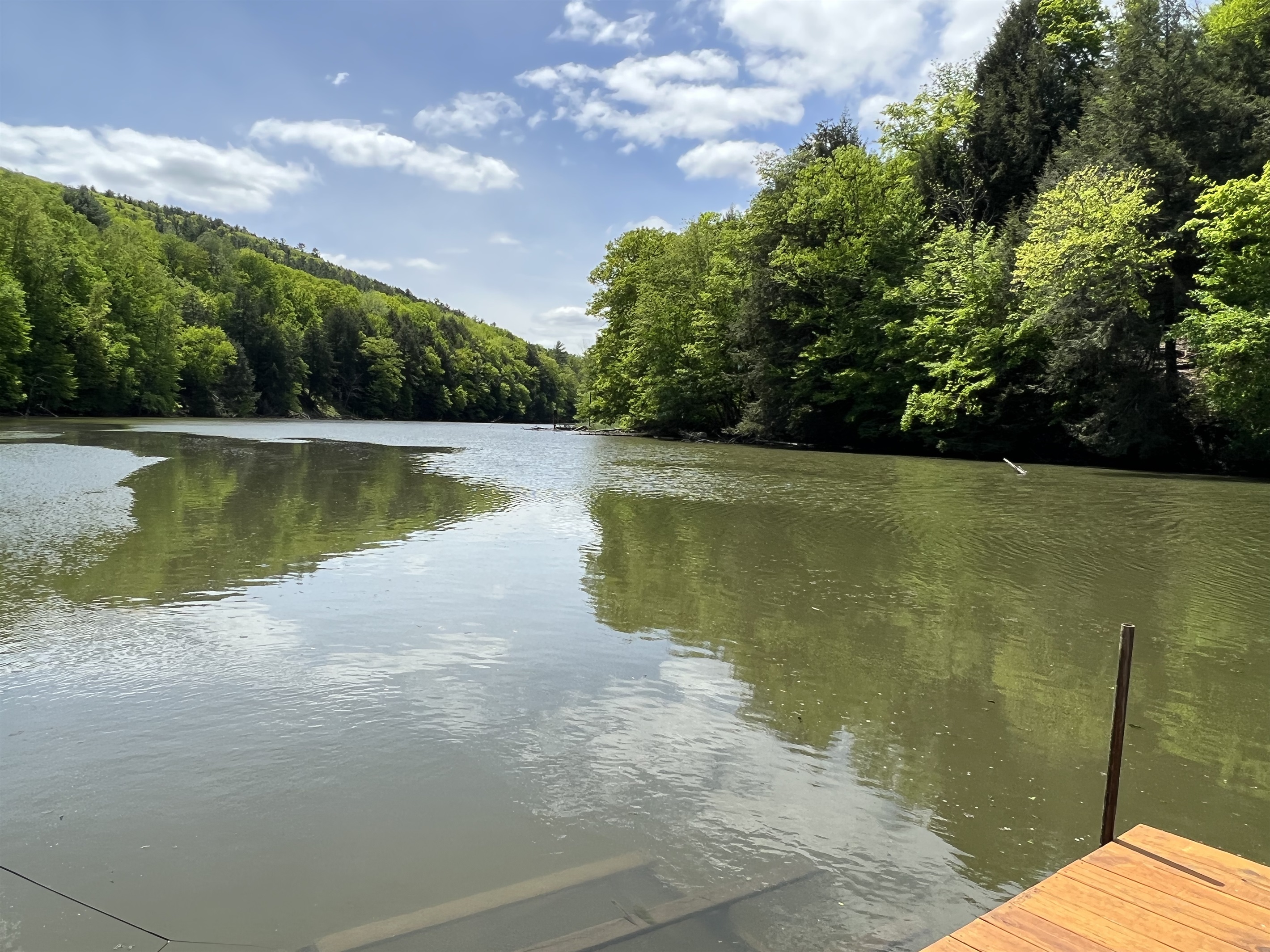 View from the dock facing downriver