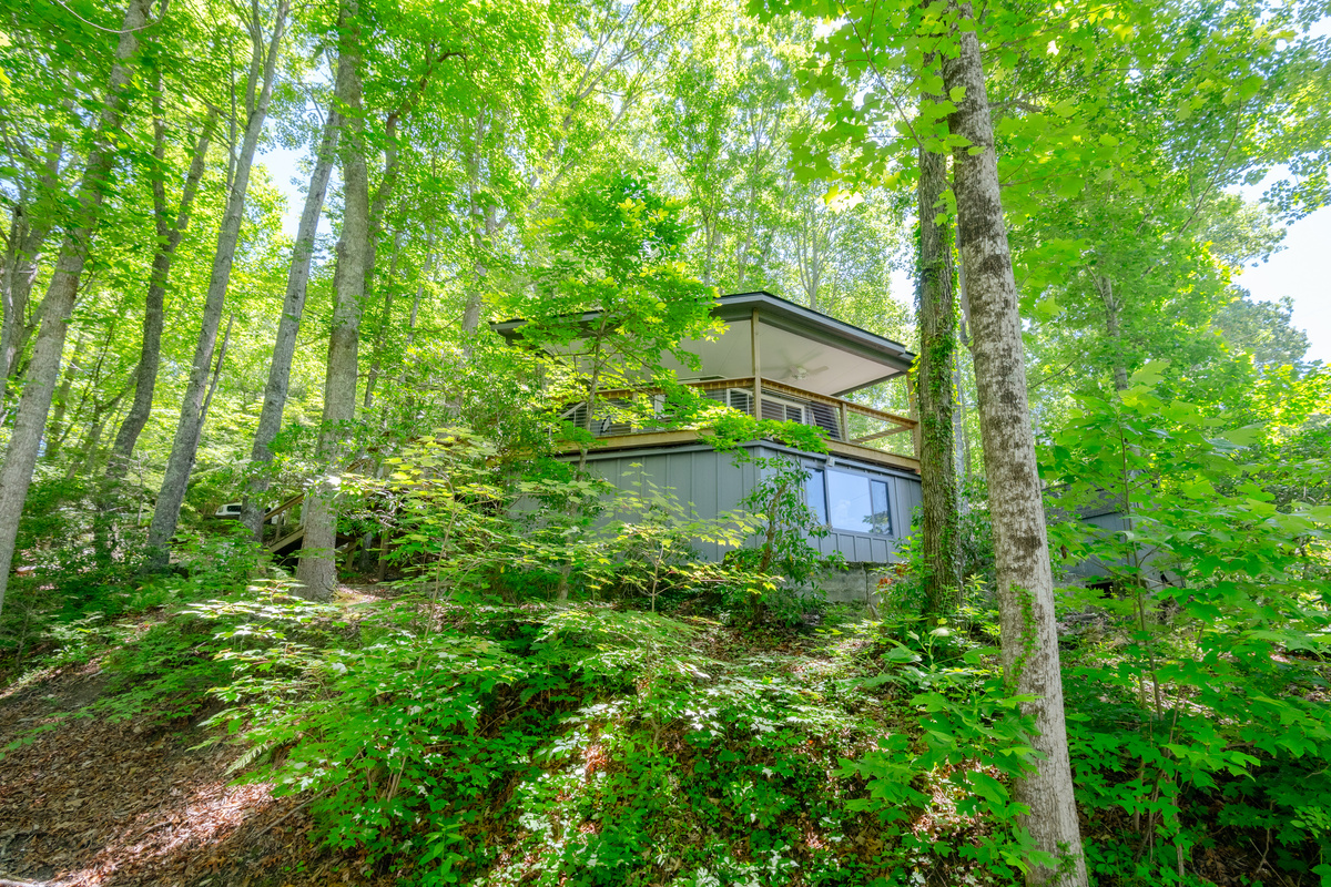 Penrose "Tree"house