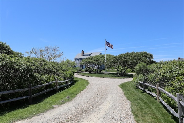 Coming up the driveway