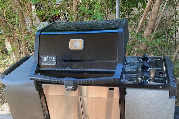 Back Patio Gas BBQ