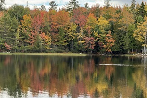 Toddy Pond, Maine in full fall foliage colors