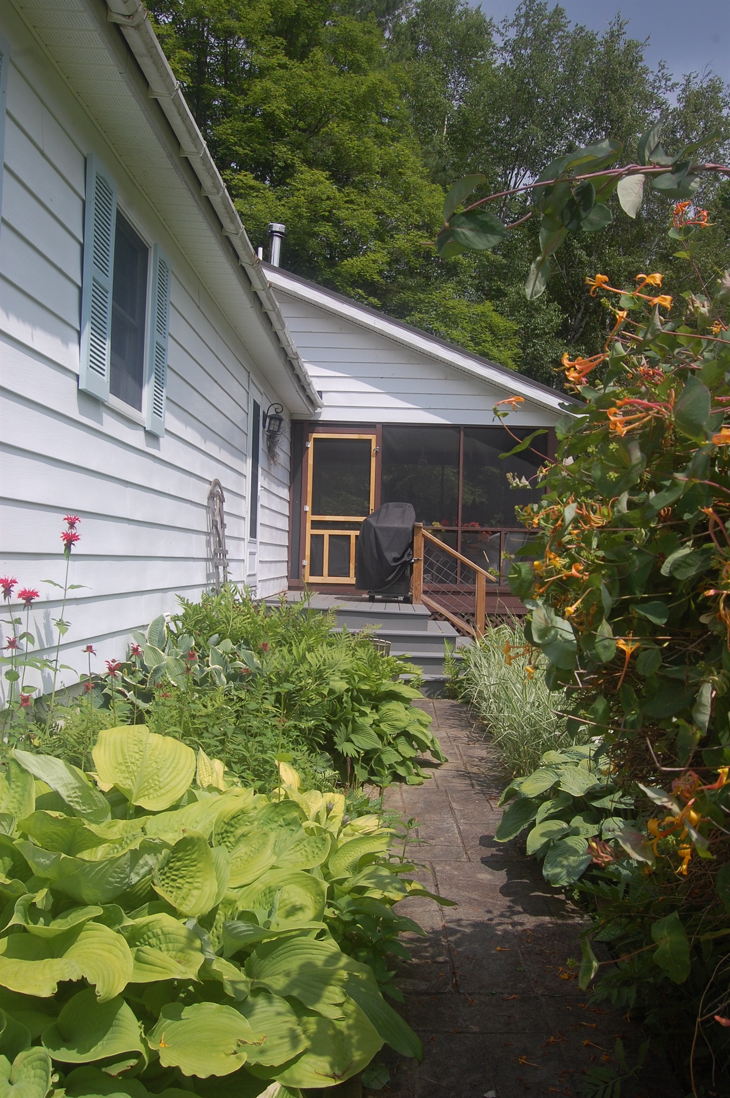 Grill area in backyard