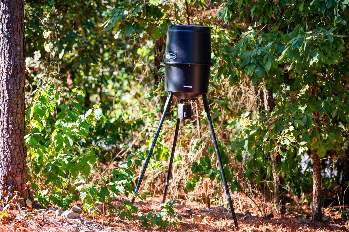 Spend some time in nature and spot local wildlife while enjoying the convenience of a private feeder nearby.