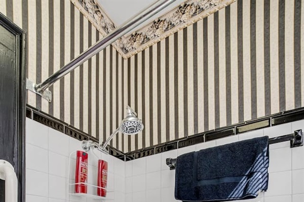 Queen Full Bathroom Shower/Tub