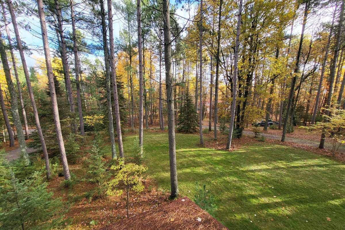 The green croquet lawn with fall color background.