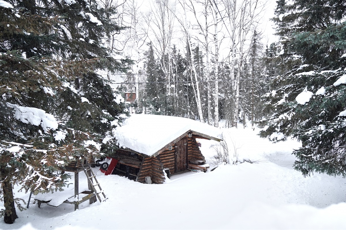 Alaska Backyard Beauty