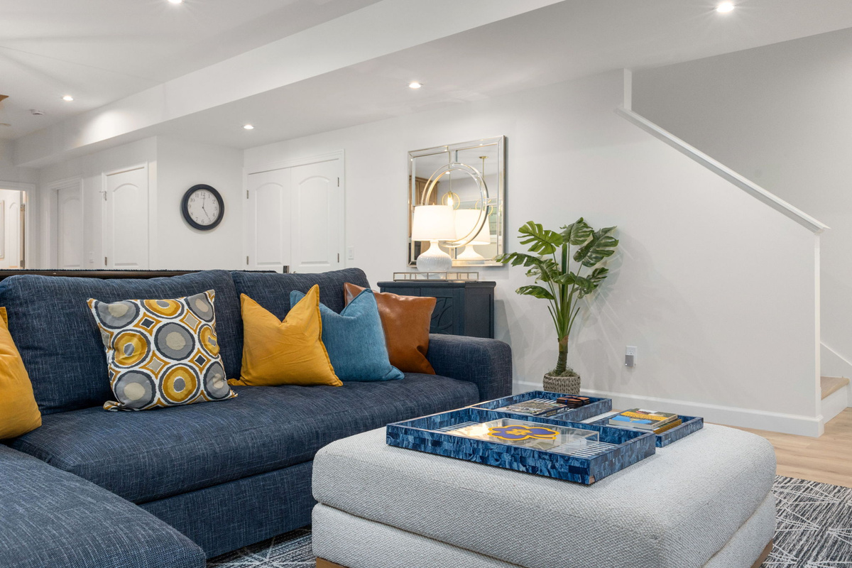 Basement Living Room