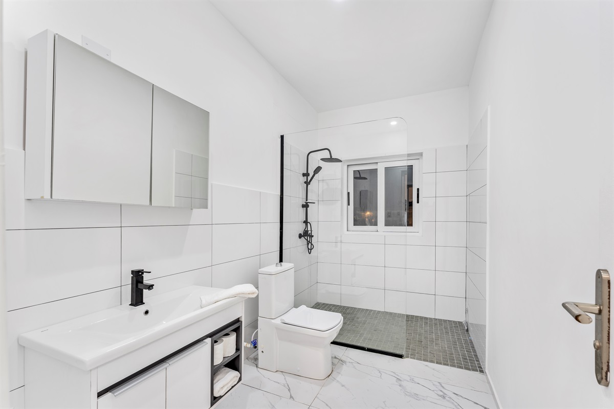 Primary bathroom: Walk-in shower, vanity and toilet in minimalist design