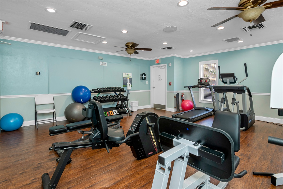 Gym with Machines, Weights, Treadmill, and more