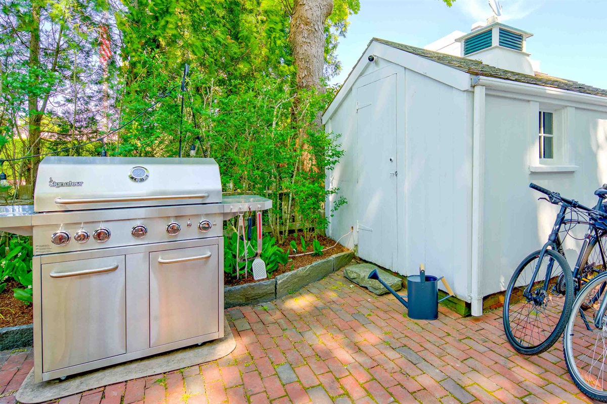 Backyard Patio with Grill and Bikes