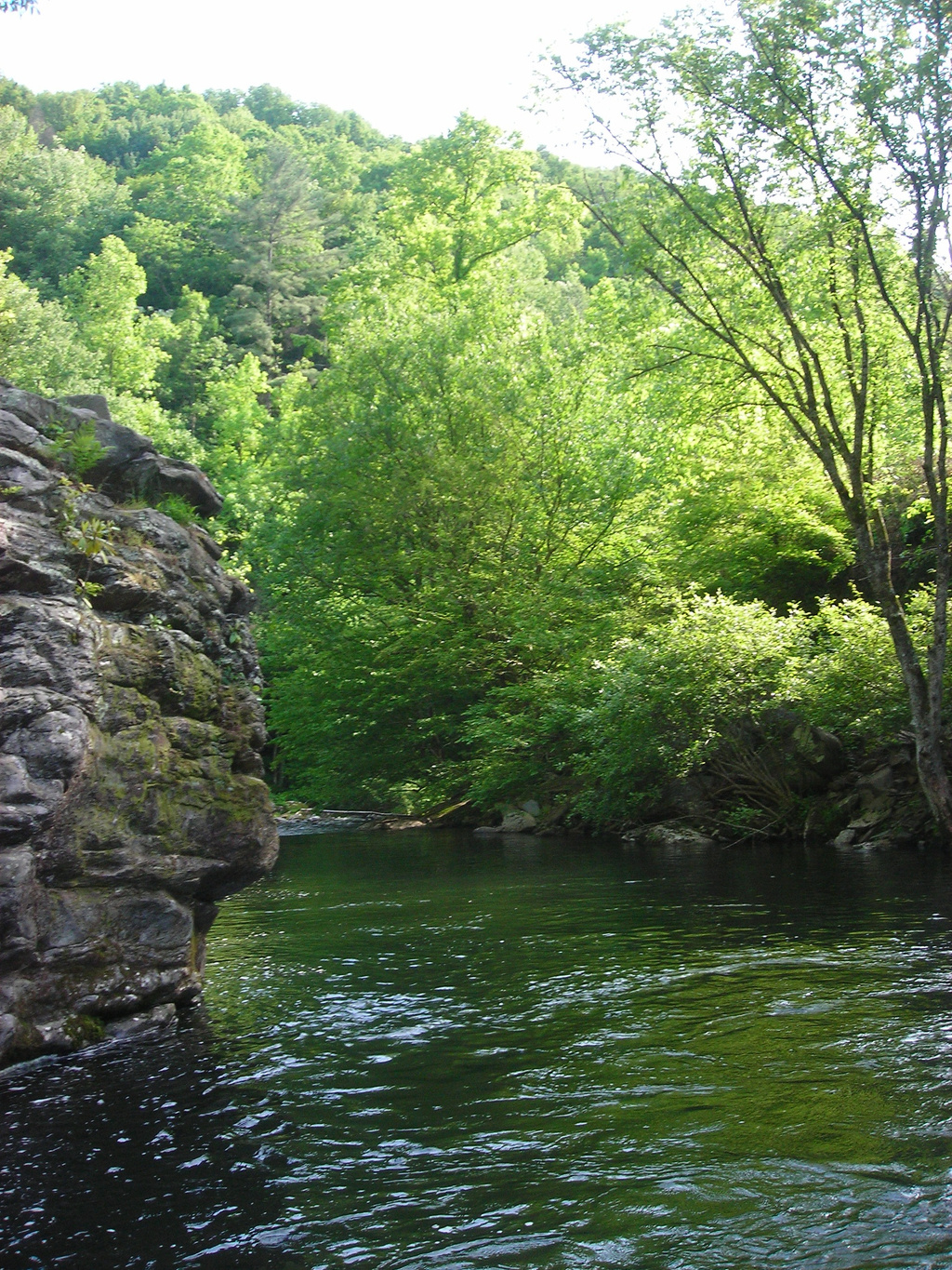 little river metcalf bottoms