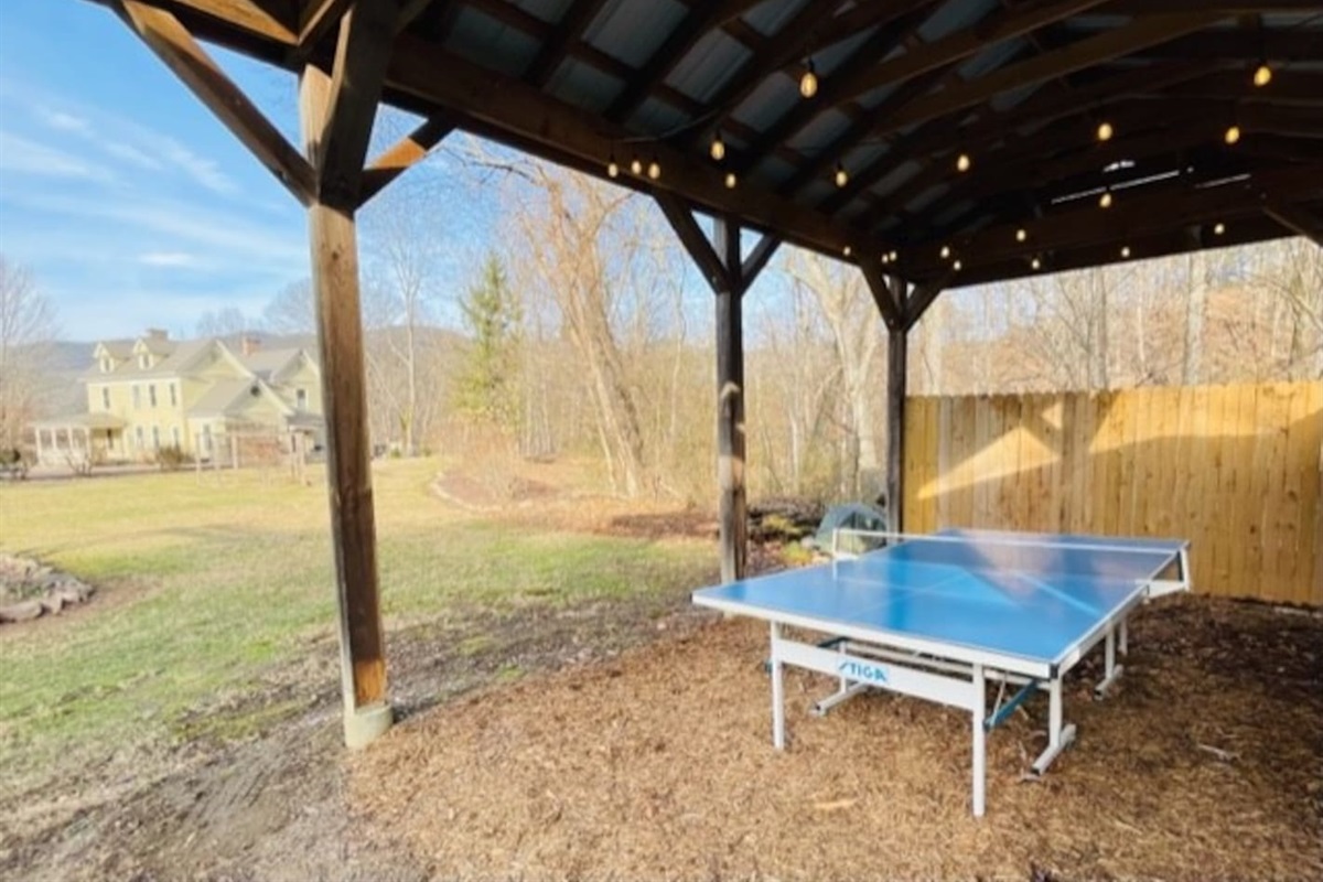 Ping Pong Table