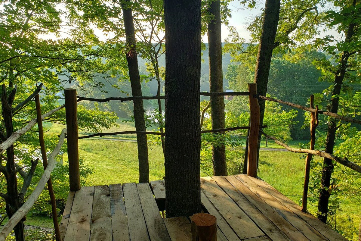 View of our neighbors pond across the street from the observation platform 