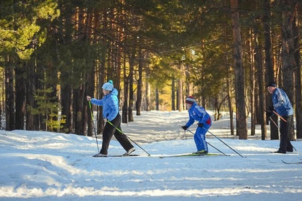 Scenic cross country skiing at Warren Dunes!