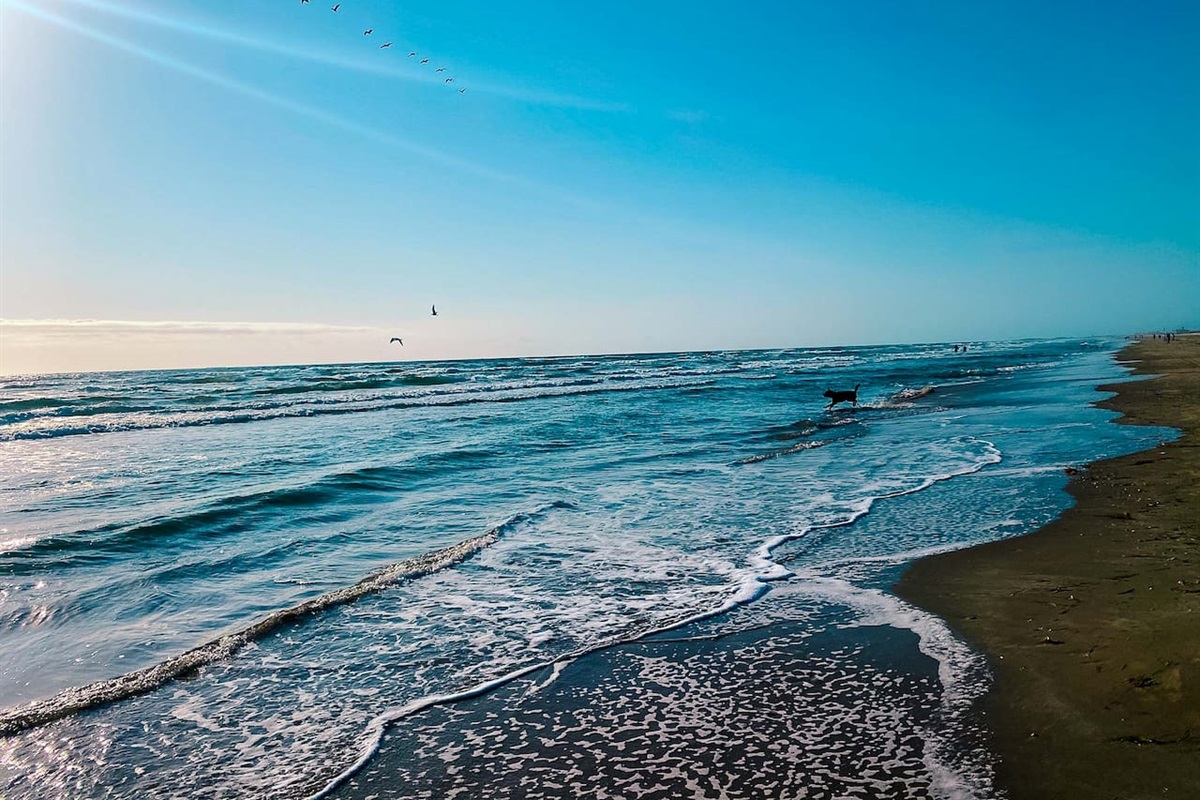Enjoy a Walk or Run Each and Every Morning, This Glorious Beach is Just Steps Away