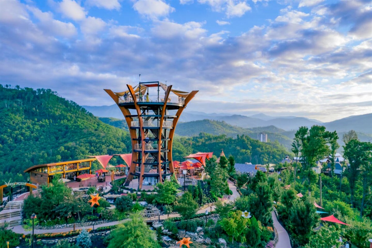 With attractions, dining, and nature all in one place, Anakeesta makes family fun easy.