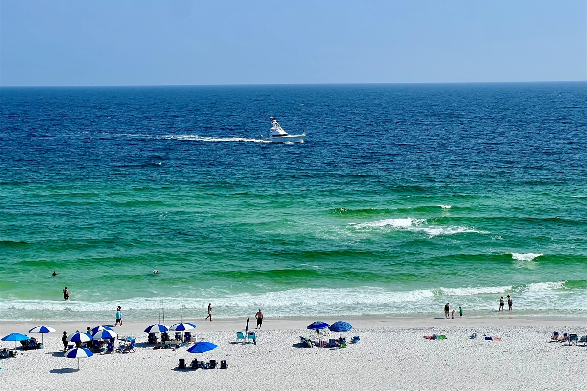 So much activity on the Gulf!