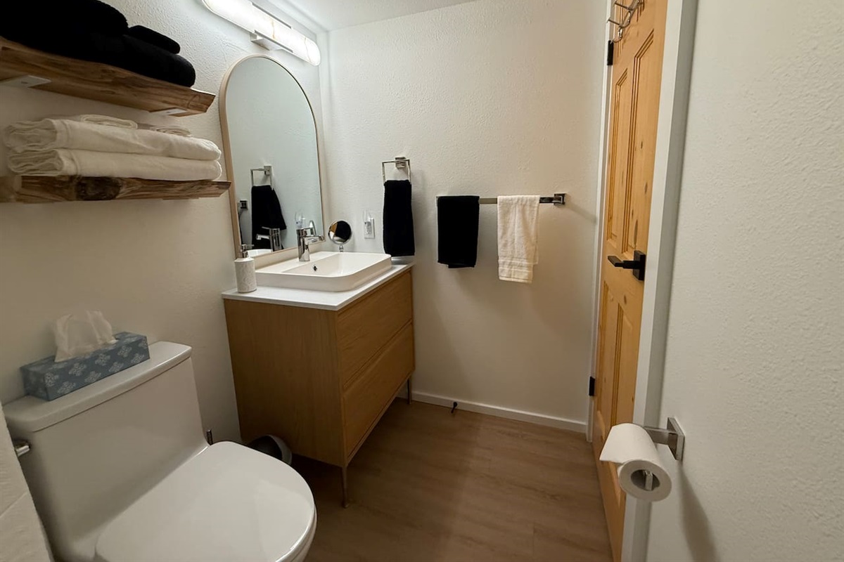 Main Floor Bathroom: Newly installed vanity offers ample counter space and storage, complemented by live edge shelving for that mountain feel.