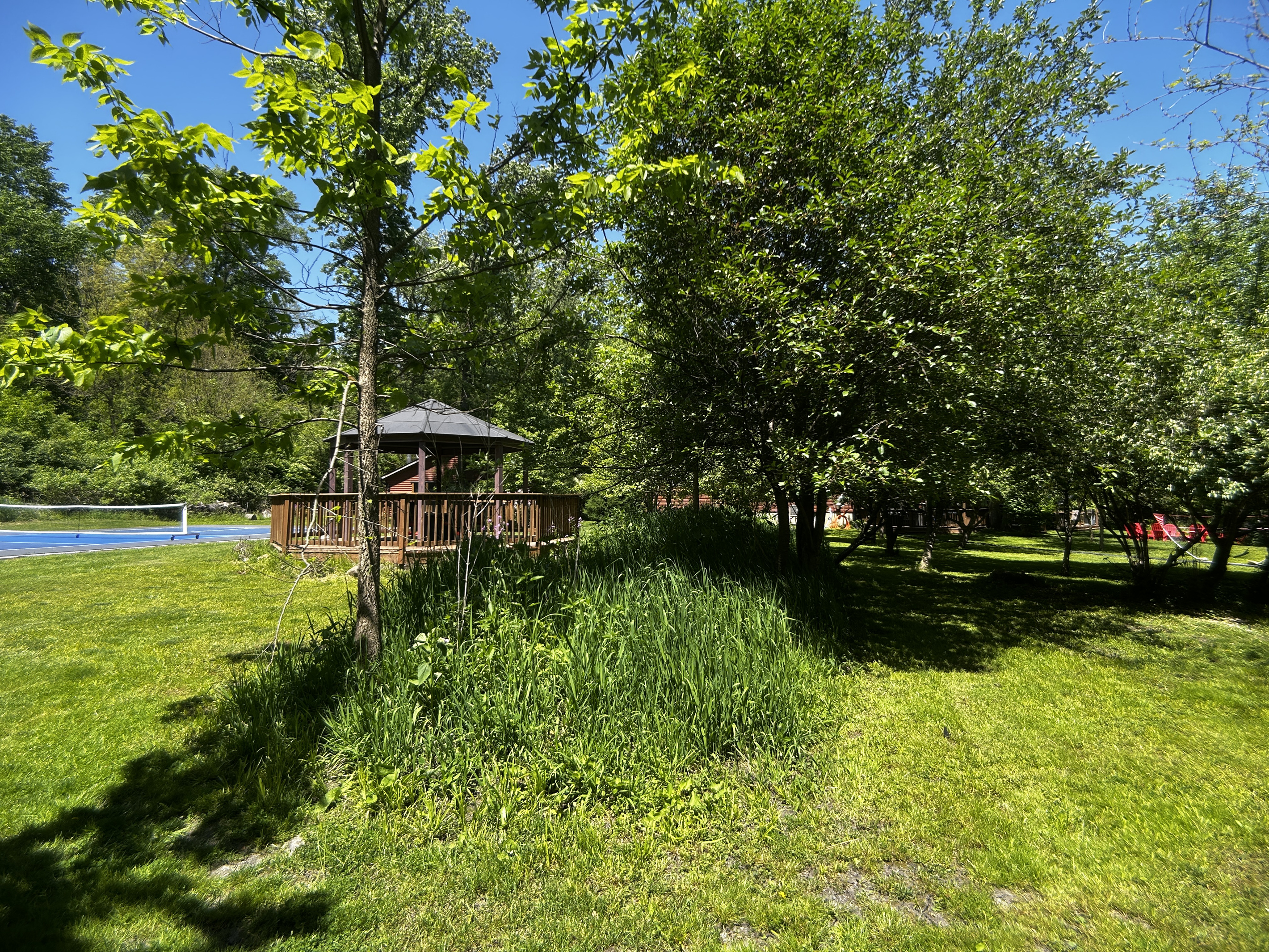 A grassy berm runs through the backyard along the gazebo and provides a little screening.